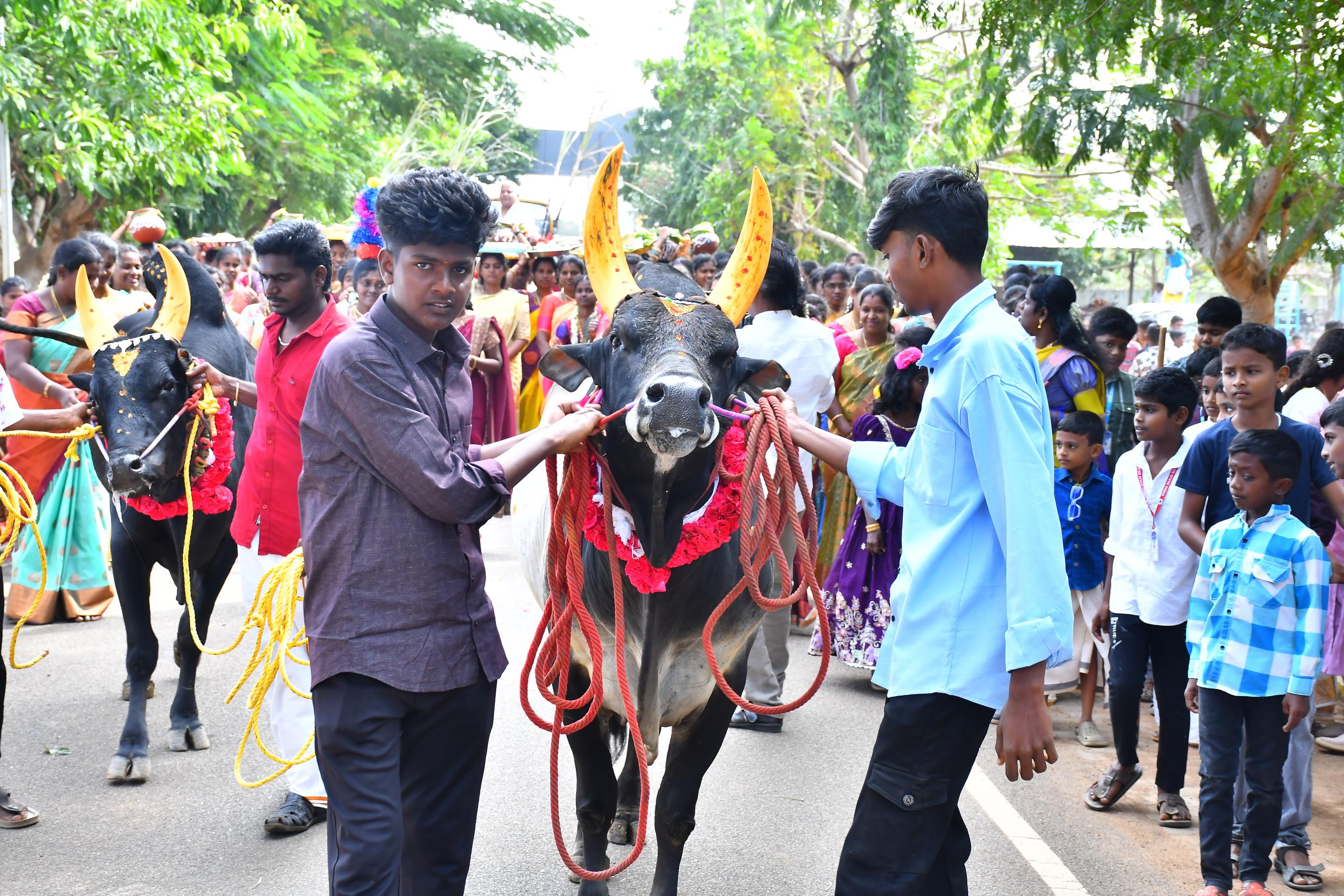 Pongal Celebration 2026